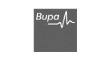 bupa